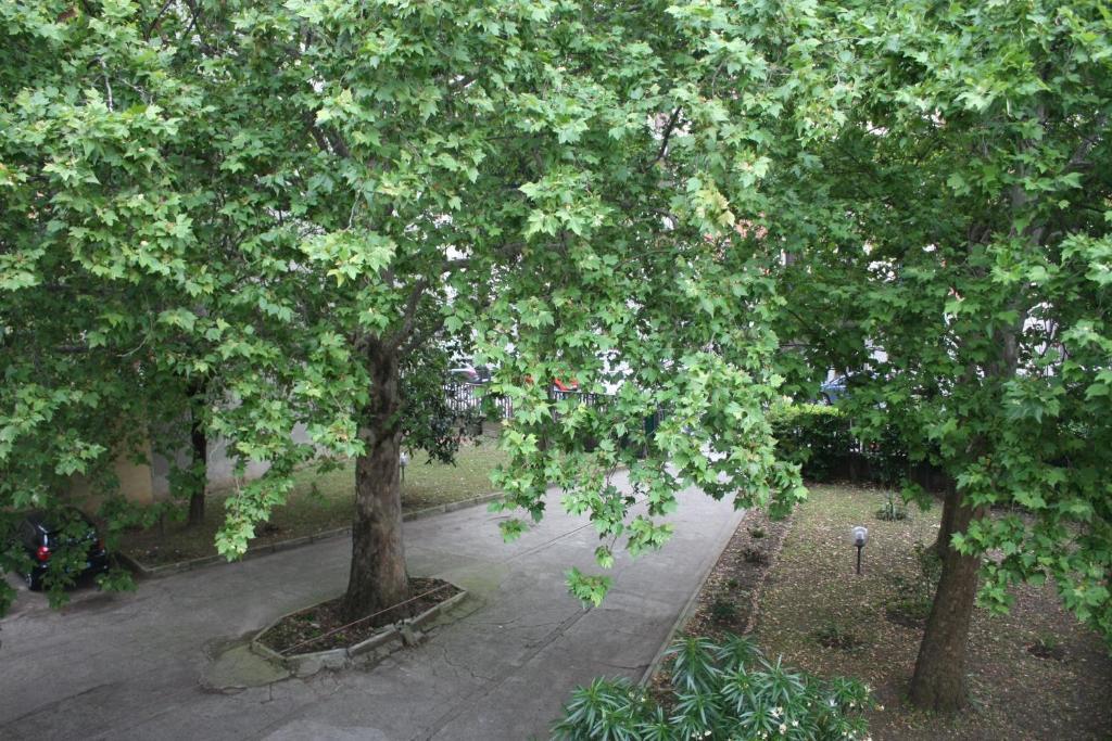 מילאנו Hotel Garden מראה חיצוני תמונה
